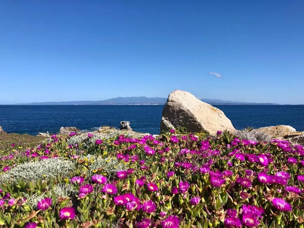Relaxing Cristal Bedroom Apartment Sleeps 5 Santa Teresa Gallura 0*,  Italy