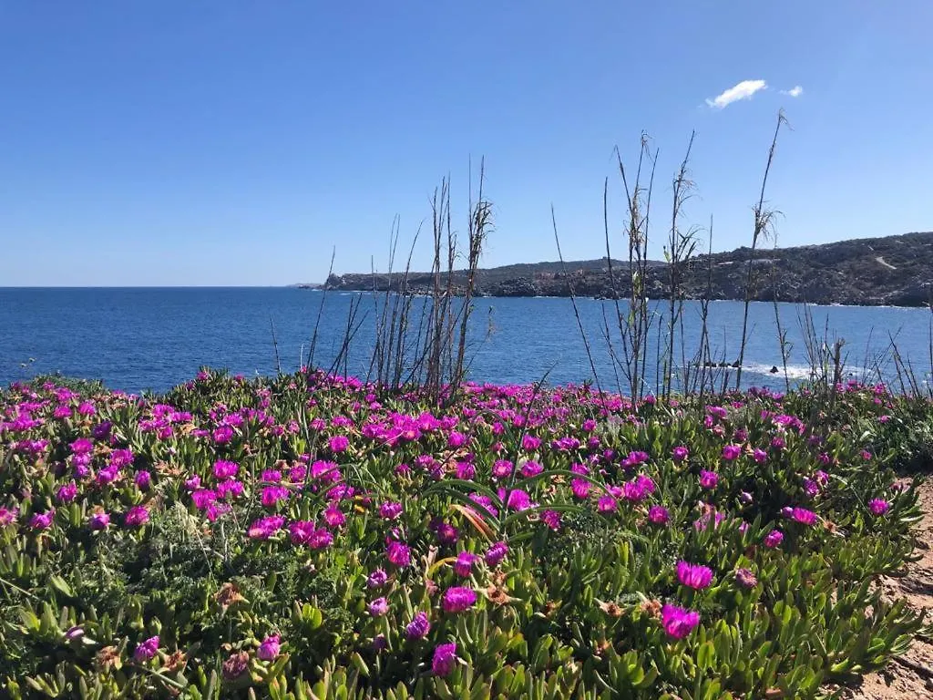 Relaxing Cristal Bedroom Apartment Sleeps 5 Santa Teresa Gallura